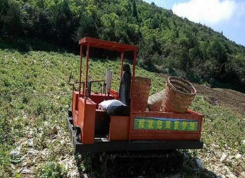 田間作業